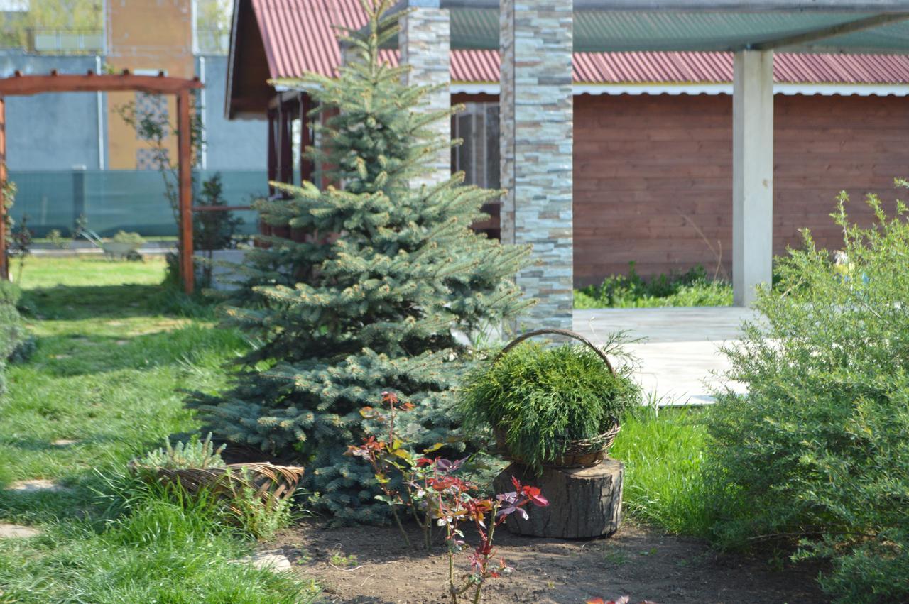 Cabane De Lemn Costinești Exterior foto