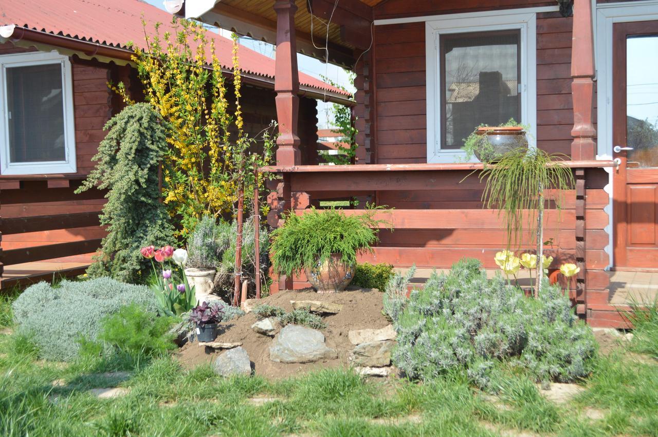 Cabane De Lemn Costinești Exterior foto