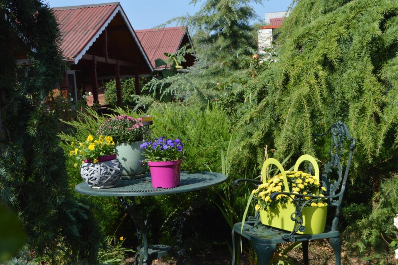 Cabane De Lemn Costinești Exterior foto