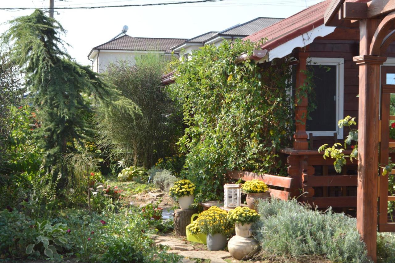 Cabane De Lemn Costinești Exterior foto