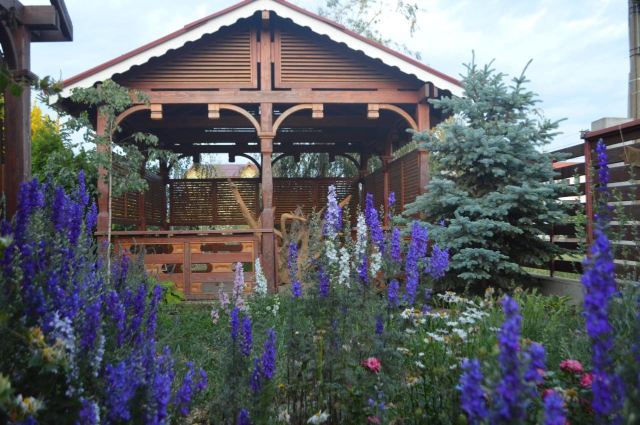 Cabane De Lemn Costinești Exterior foto