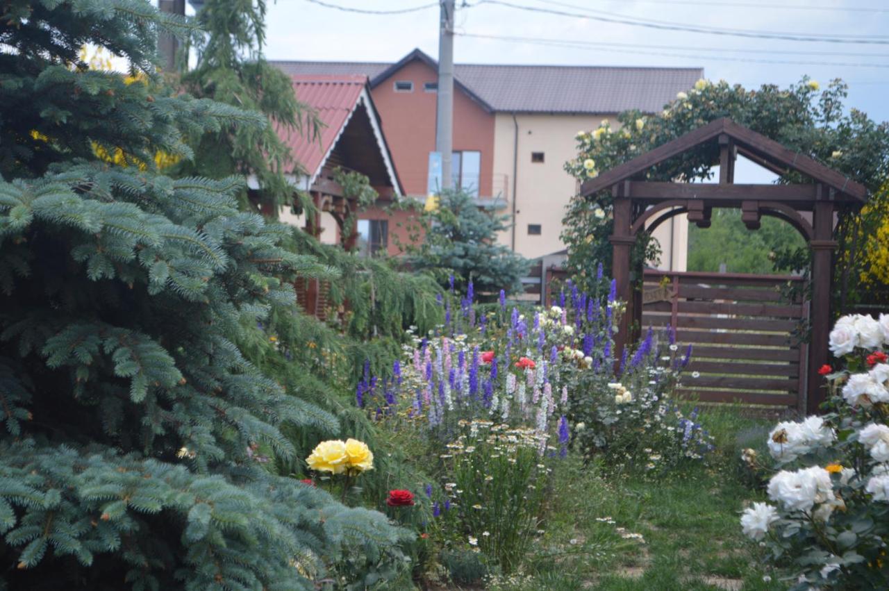 Cabane De Lemn Costinești Exterior foto