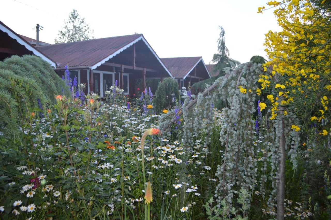 Cabane De Lemn Costinești Exterior foto