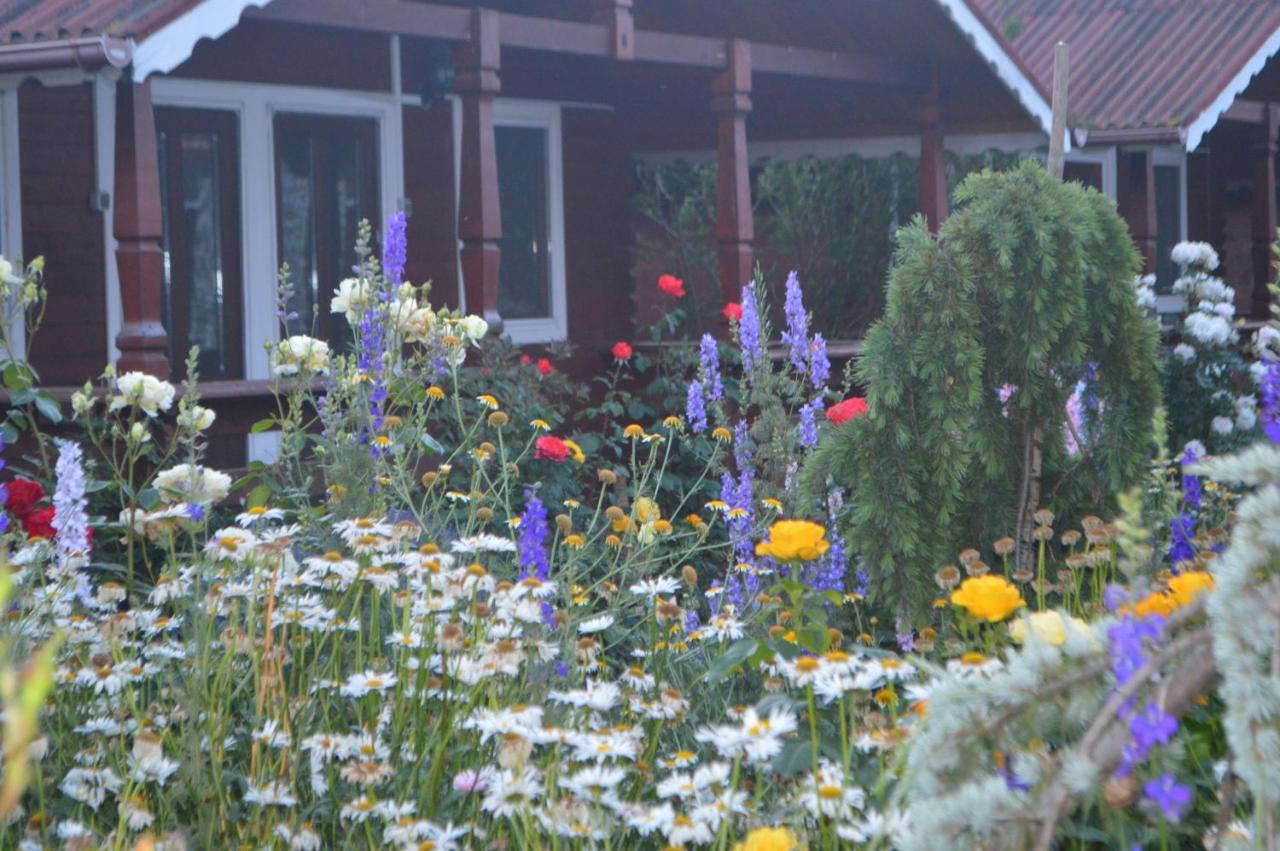 Cabane De Lemn Costinești Exterior foto