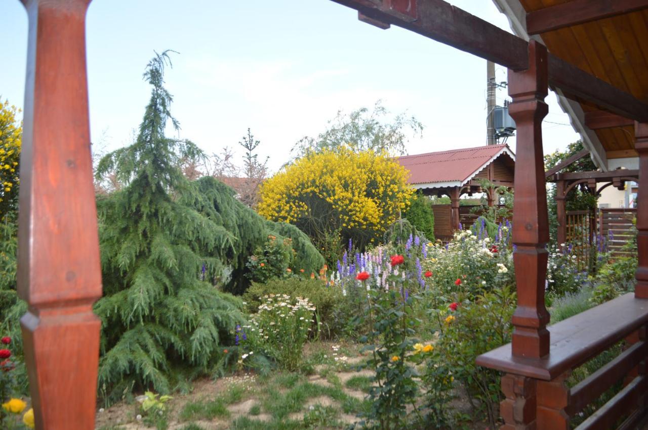 Cabane De Lemn Costinești Exterior foto