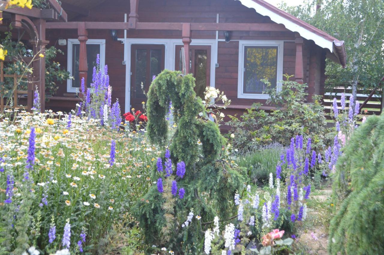 Cabane De Lemn Costinești Exterior foto